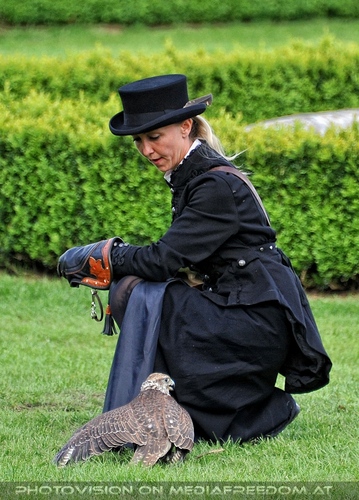 Greifvogel Vorf�hrung 39