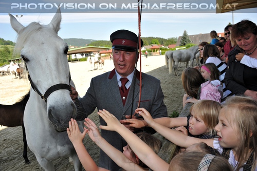 Die Lipizzaner Heimat 072