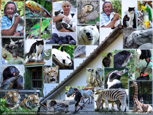 Rendezvous mit Tieren: Gabriele P., Charly Swoboda