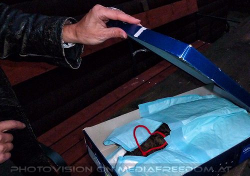 Ruhe in Frieden geliebte Jeanny 4: Eva D.