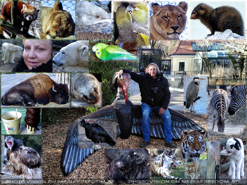 Ein neues JA zum Zoo: Gabriele P., Charly Swoboda