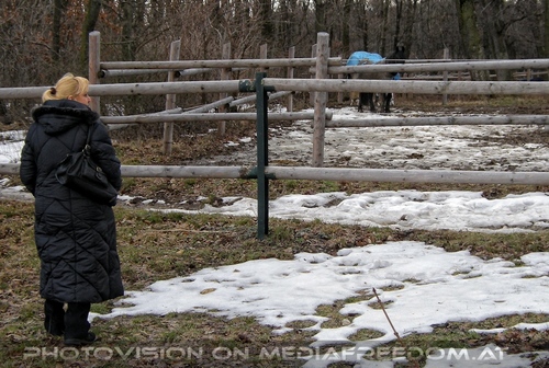 Der Hof 09: Gabriele P.