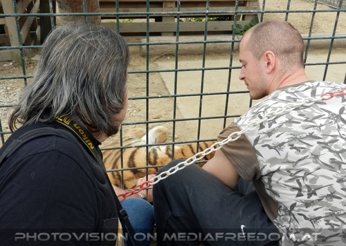 Mit den Tigern 06: Charly Swoboda
