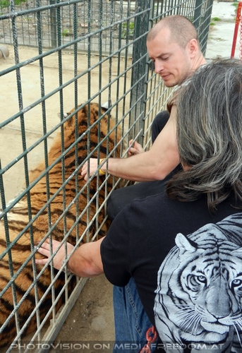 Mit den Tigern 07