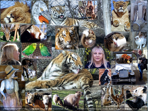 Wir lassen es uns gut gehen: Gabriele P., Charly Swoboda