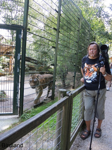 Tigerman und der Tiger