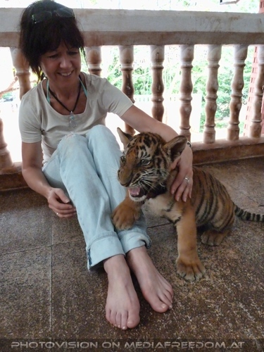 The B-Day of the Tigerman Pix 021