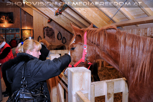 Patenweihnacht 79: Gabriele P.