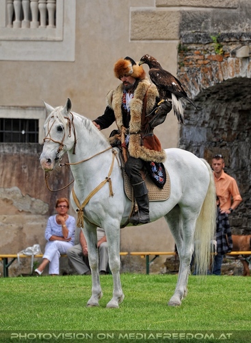 Greifvogel Vorf�hrung 42