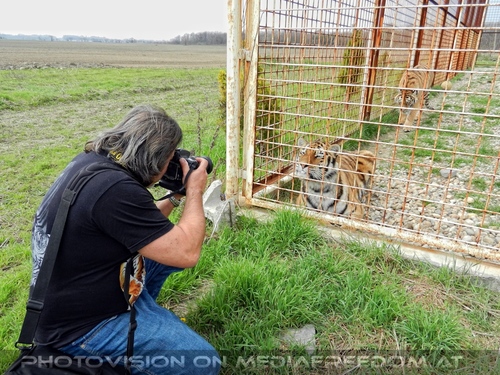 Mit den Tigern 23: Charly Swoboda