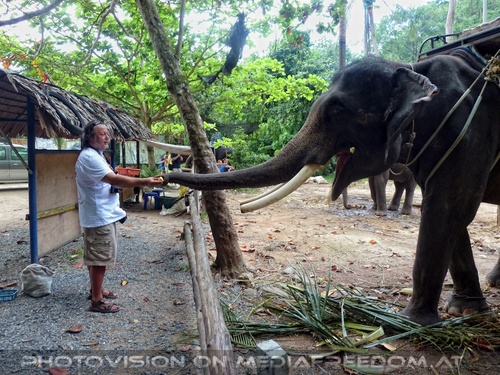 Namuang Jungle Elephant Trip 35: Charly Swoboda