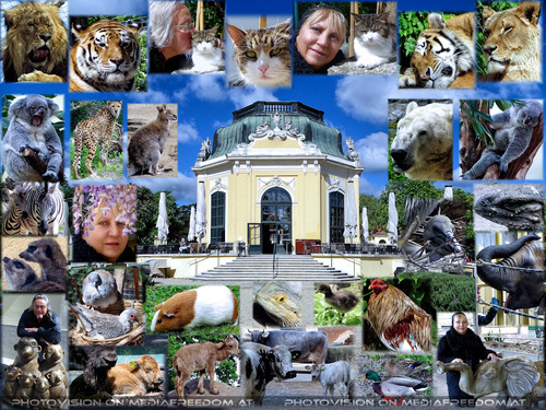 Imperial Zoo, Imperial Animals: Gabriele P., Charly Swoboda