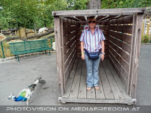 In der Nashorn Transportbox