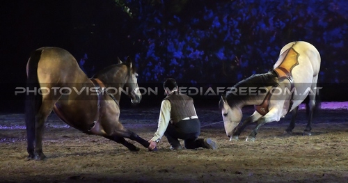 Magische Begegnungen 33