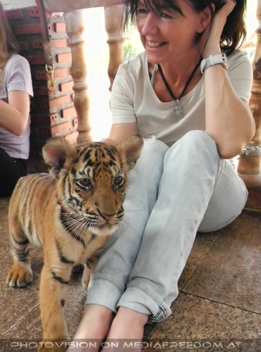 The B-Day of the Tigerman Pix 020