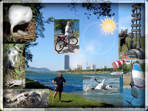 Sonnenwinde auf der Donauinsel!