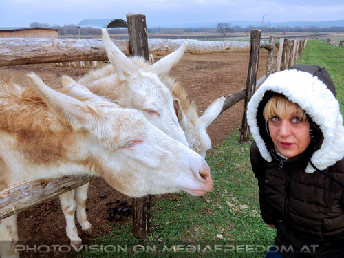 Wei�e Esel 06: Gabriele P.