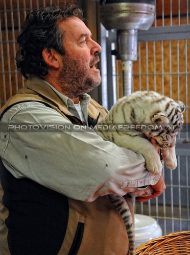 Reich an wei�en Tigern 20