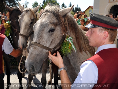 Pferde Segnung in Maria Lankowitz 04