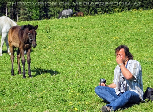 Auf der Lipizzaner Weide 20: Charly Swoboda