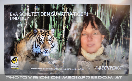 Sumatra Tiger - Greenpeace 2