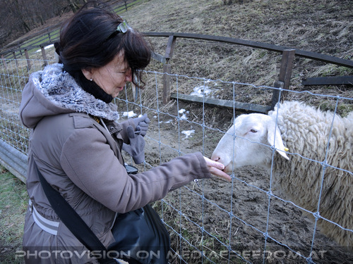 Den Wald sch�tzen 03: Eva D.