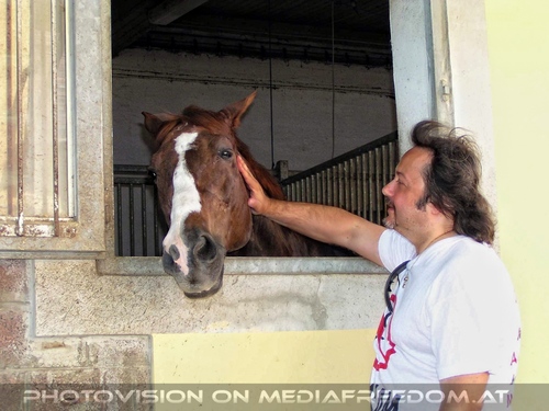 Die alten Stallungen 05