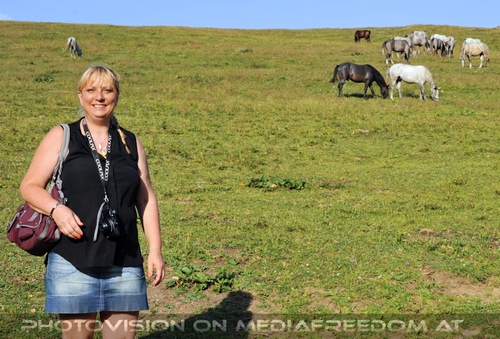 Bei den Junghengsten 28