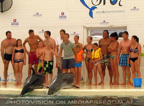 Swim with Dolphins 10