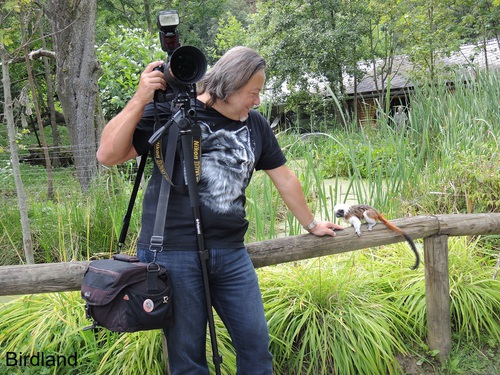 Charly und der Affe: Charly Swoboda