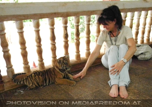 The B-Day of the Tigerman Pix 011