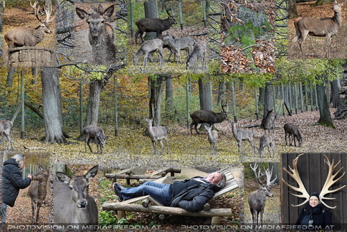 Natur pur: Gabriele P., Charly Swoboda