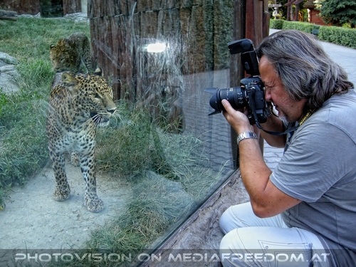 Die Leoparden 3: Charly Swoboda