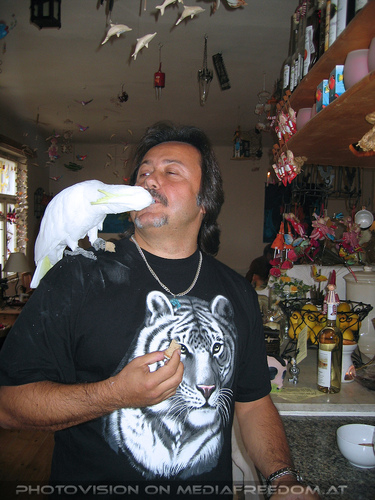 1000 sch�ne Dinge 10