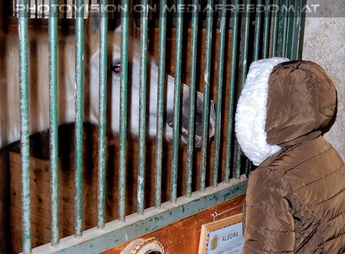 Die Stallung 02: Gabriele P.