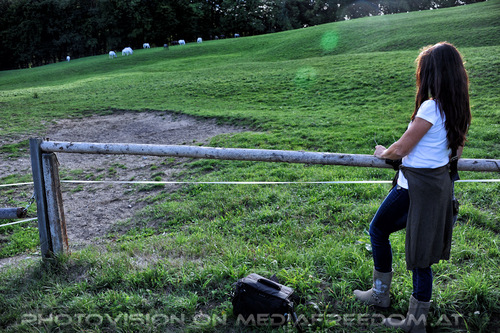 Lipizzaner Heimat 08