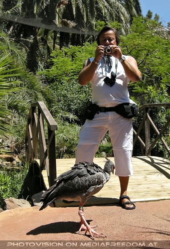 The Park 04: Charly Swoboda