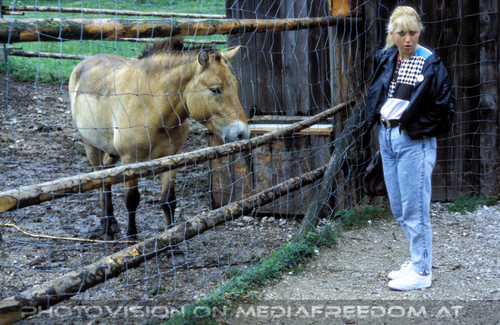 Beim Przewalski Pferd 01: Gabriele P.