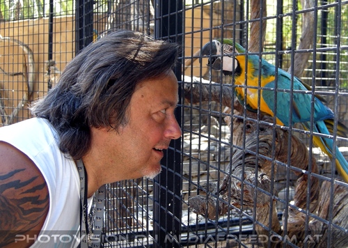 Parrots Park 22: Charly Swoboda
