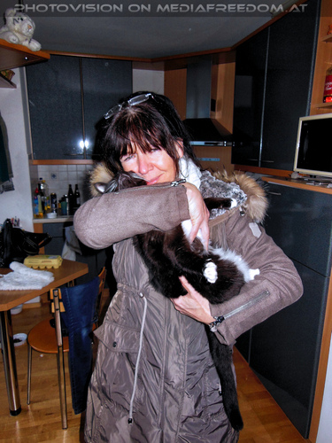 Lebenskater Ebony 05