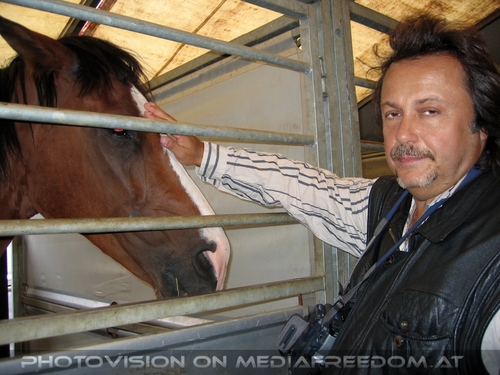 Napoleon - Im Zeichen der Kavallerie 40