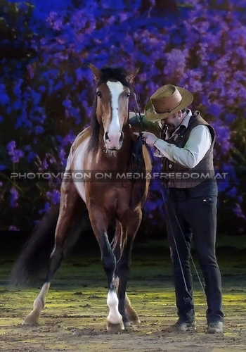 Magische Begegnungen 03