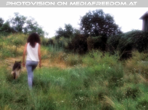 Abschied wegen Marchfeldkanal