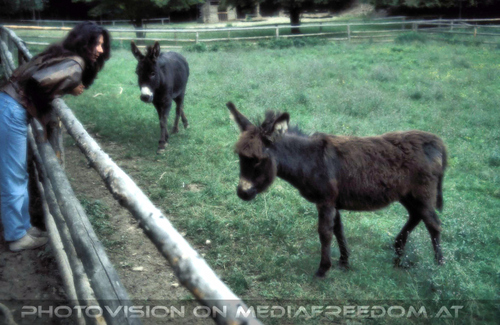 In love for nature 02