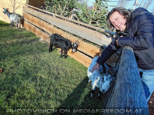 Weihnachtstr�ume 18