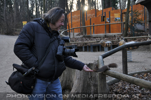 Eichh�rnchen 04: Charly Swoboda