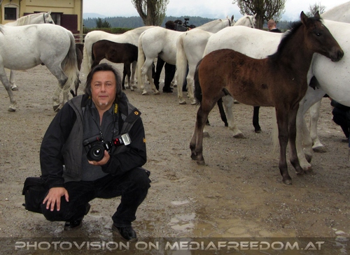 Club der Freunde des Lipizzanergest�ts 48