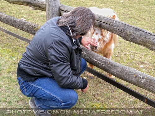 Mit Pony