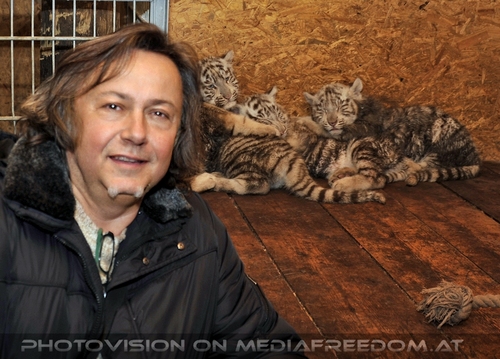 Die weissen Tiger Vierlinge 63