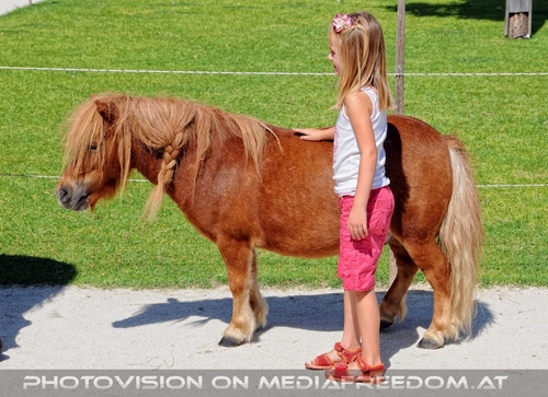 Hemmungslos Liebe 12